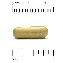 Berberine Advanced 캡슐 길이를 자와 비교한 공식 이미지